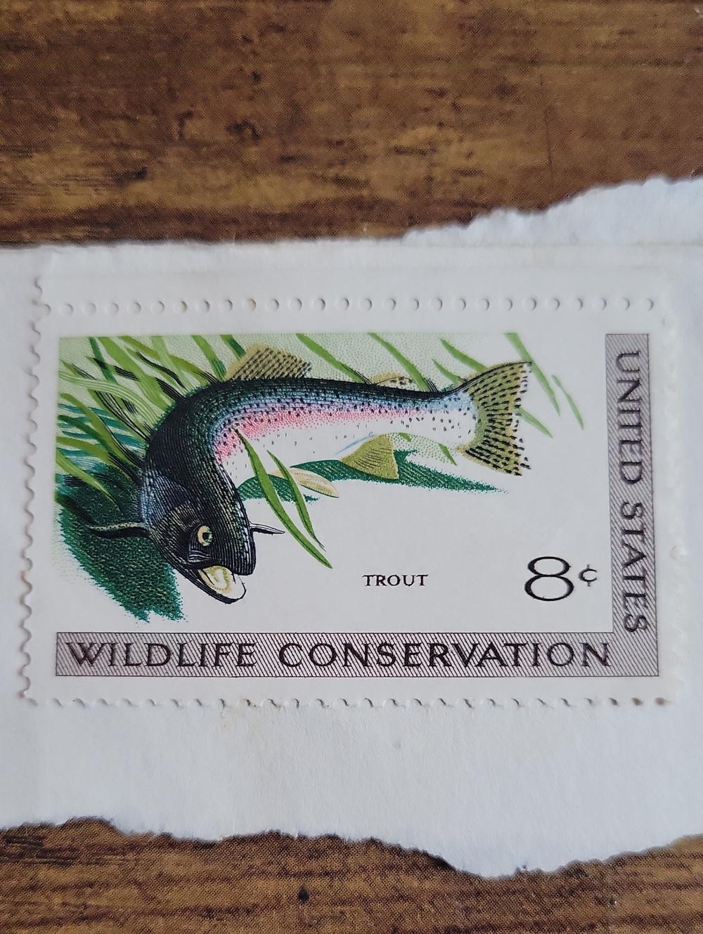 Trout Wildlife Conservation Decorative Stamp Print - White/Green